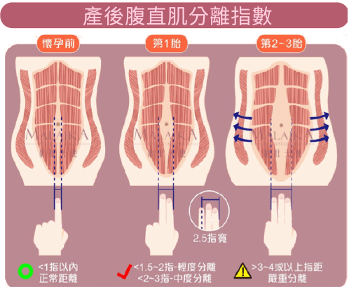 增加骨盆肌肉群