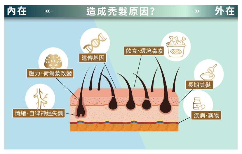 造成禿髮原因